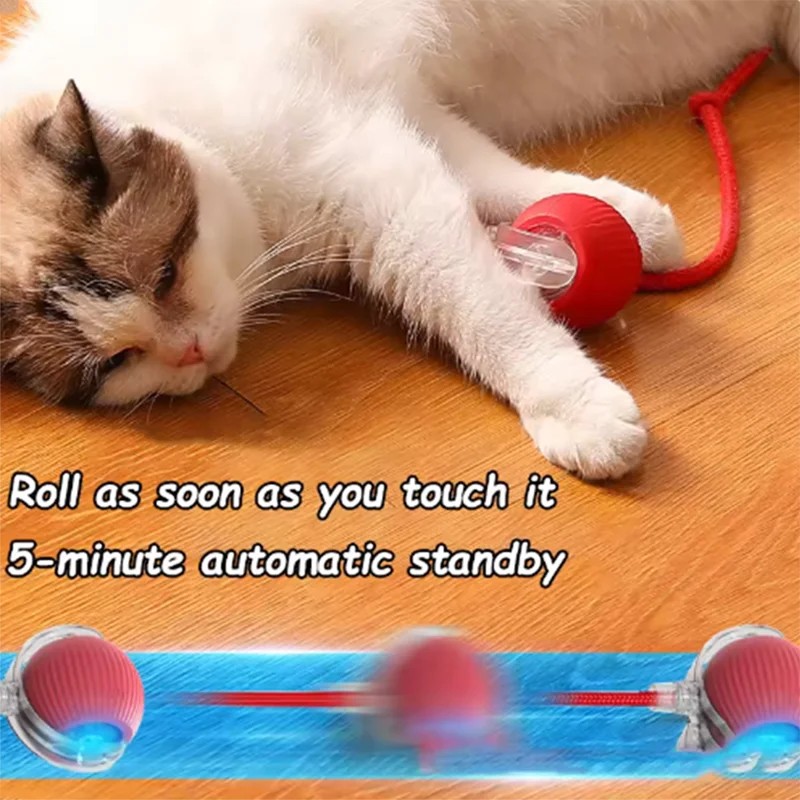 PlayTail Smart Ball