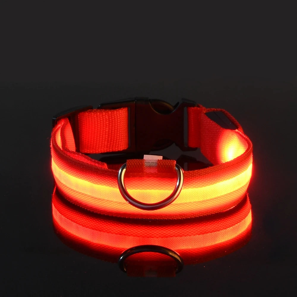 GlowSafe LED Collar