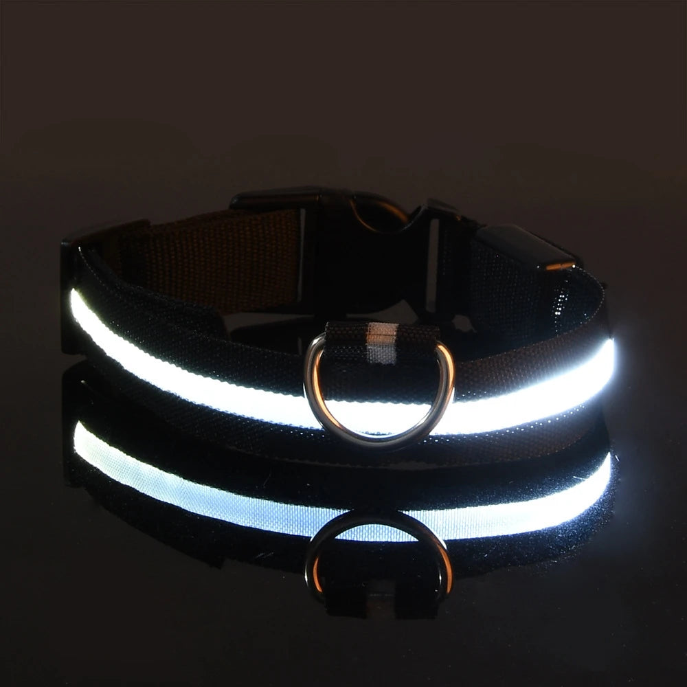 GlowSafe LED Collar