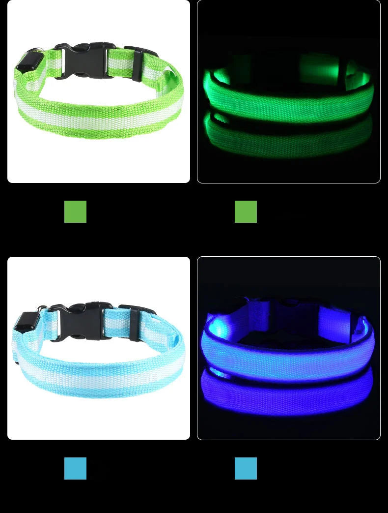 GlowSafe LED Collar