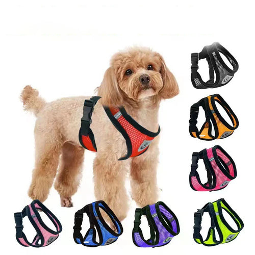 AirFlex Pet Harness Set