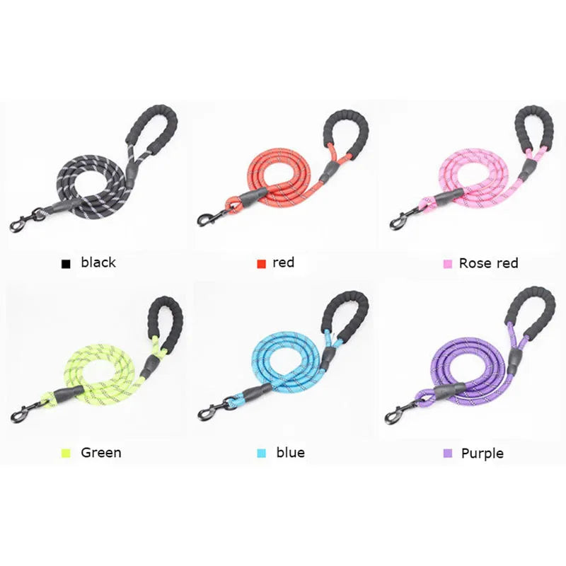 SafeWalk Dog Leash
