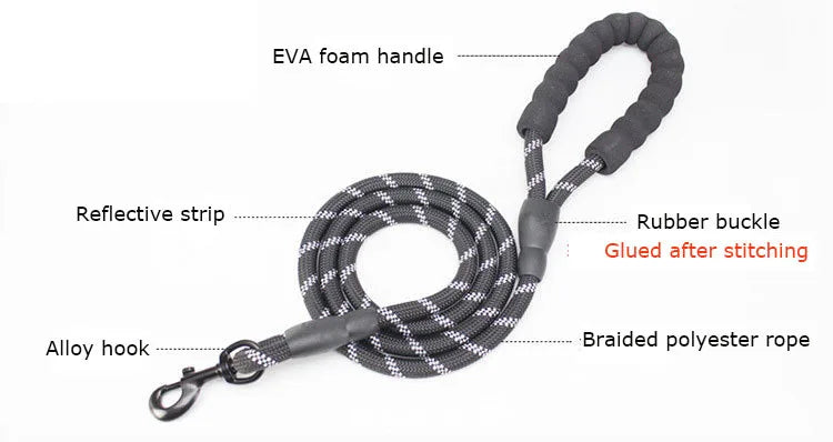 SafeWalk Dog Leash