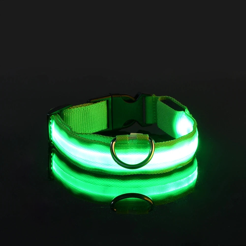 GlowSafe LED Collar