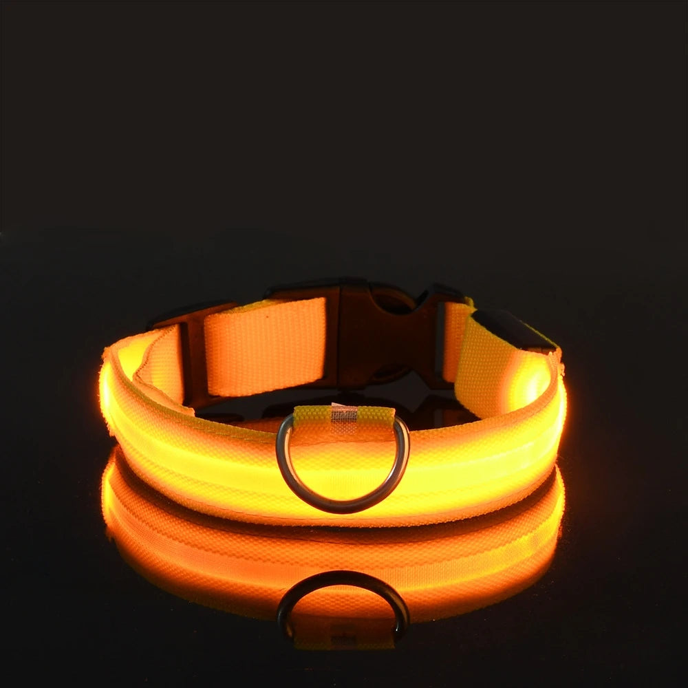 GlowSafe LED Collar