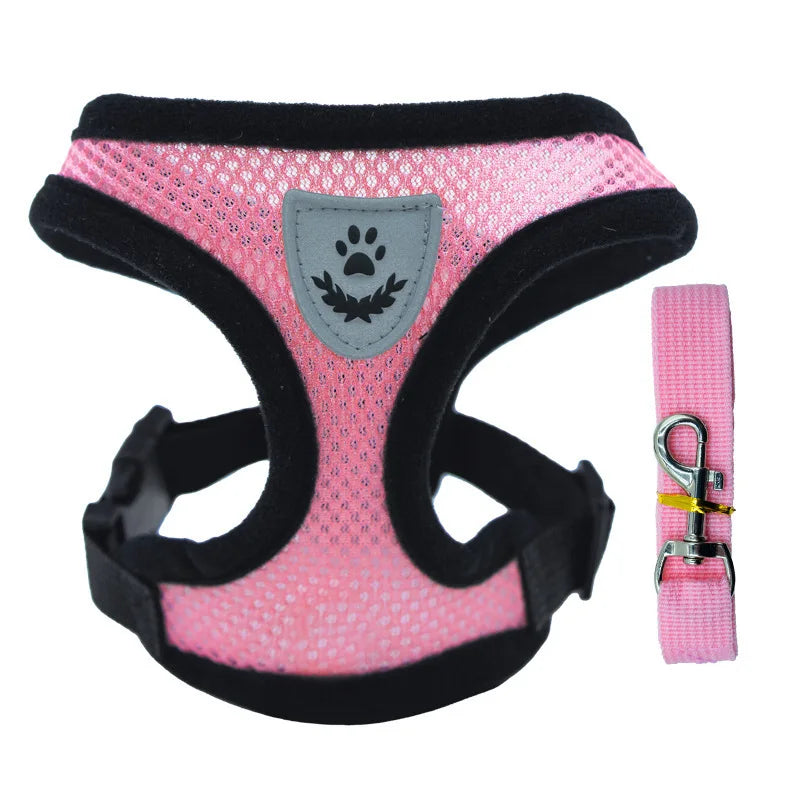 Ensemble harnais pour animaux de compagnie AirFlex