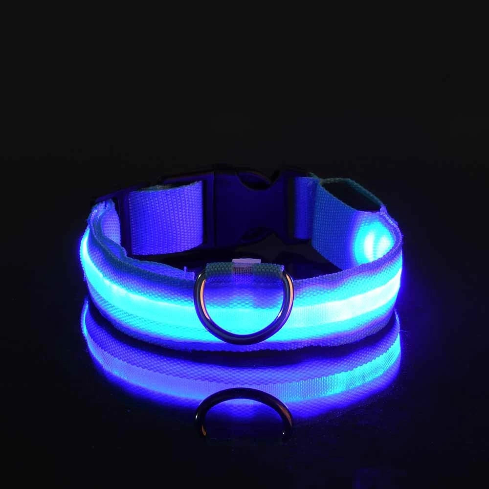 GlowSafe LED Collar