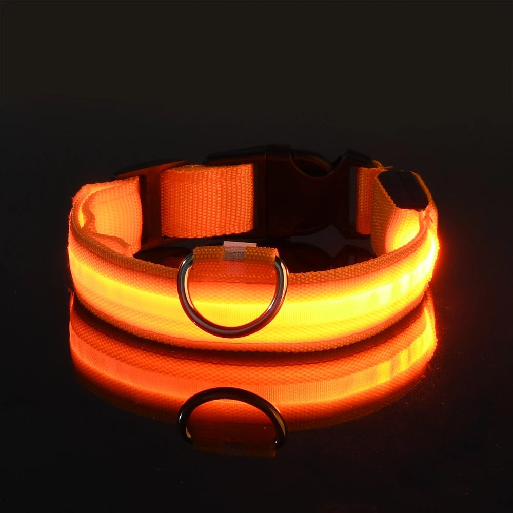 GlowSafe LED Collar