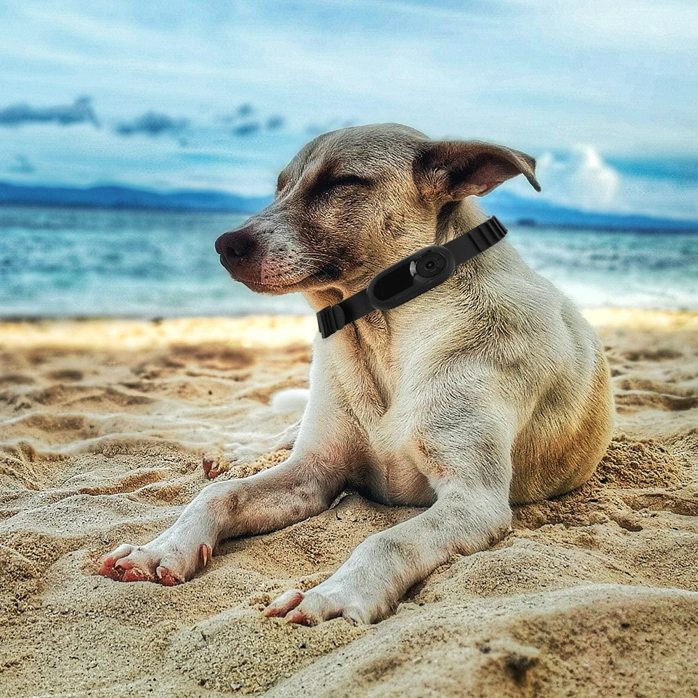 PetView 1080P Camera Collar