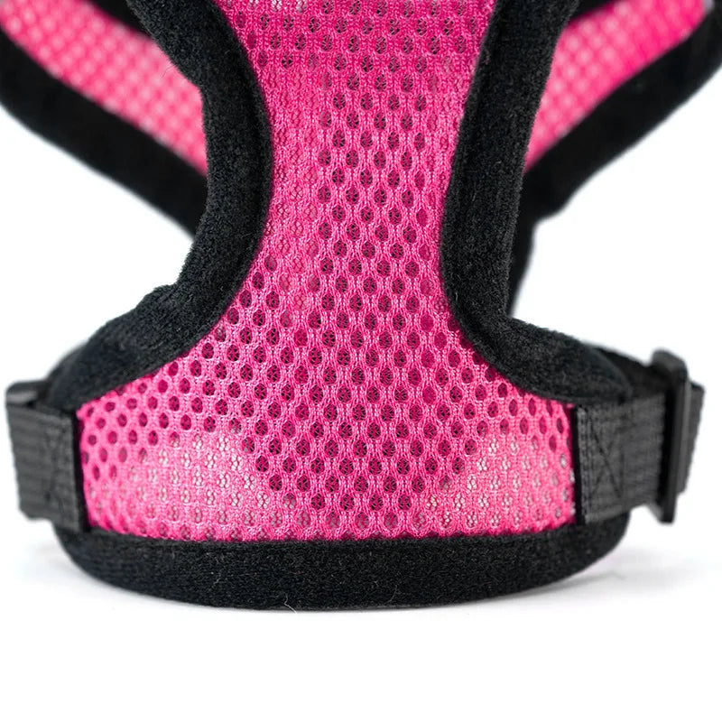 AirFlex Pet Harness Set