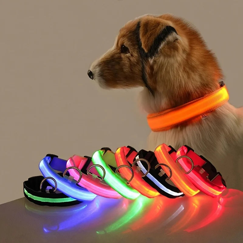 GlowSafe LED Collar