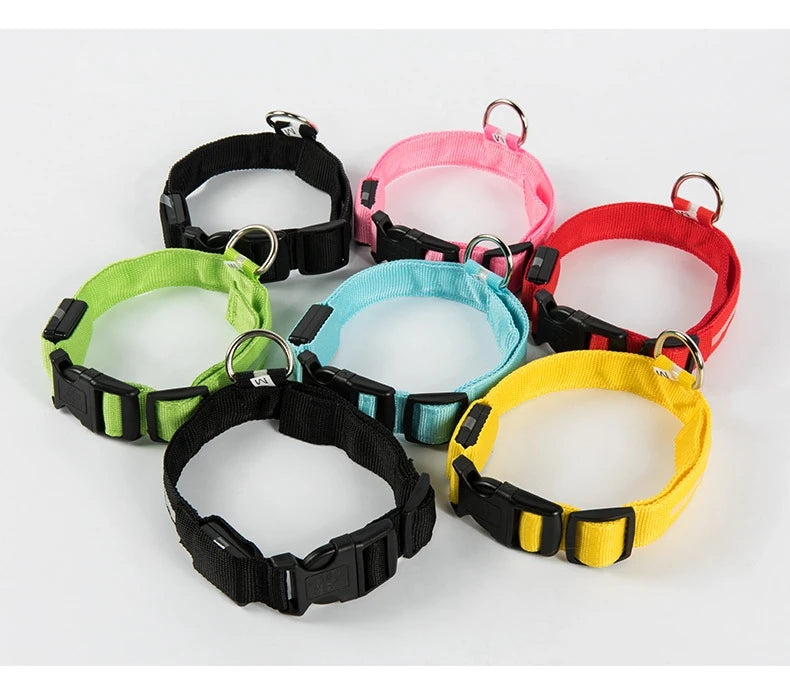 GlowSafe LED Collar