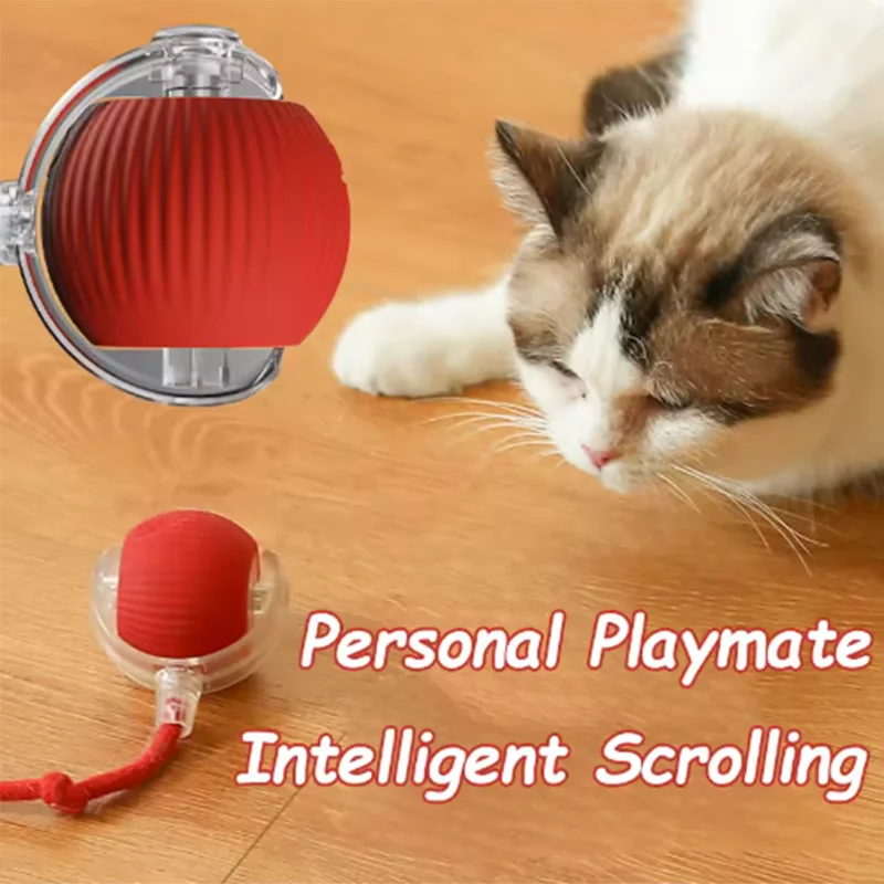 PlayTail Smart Ball