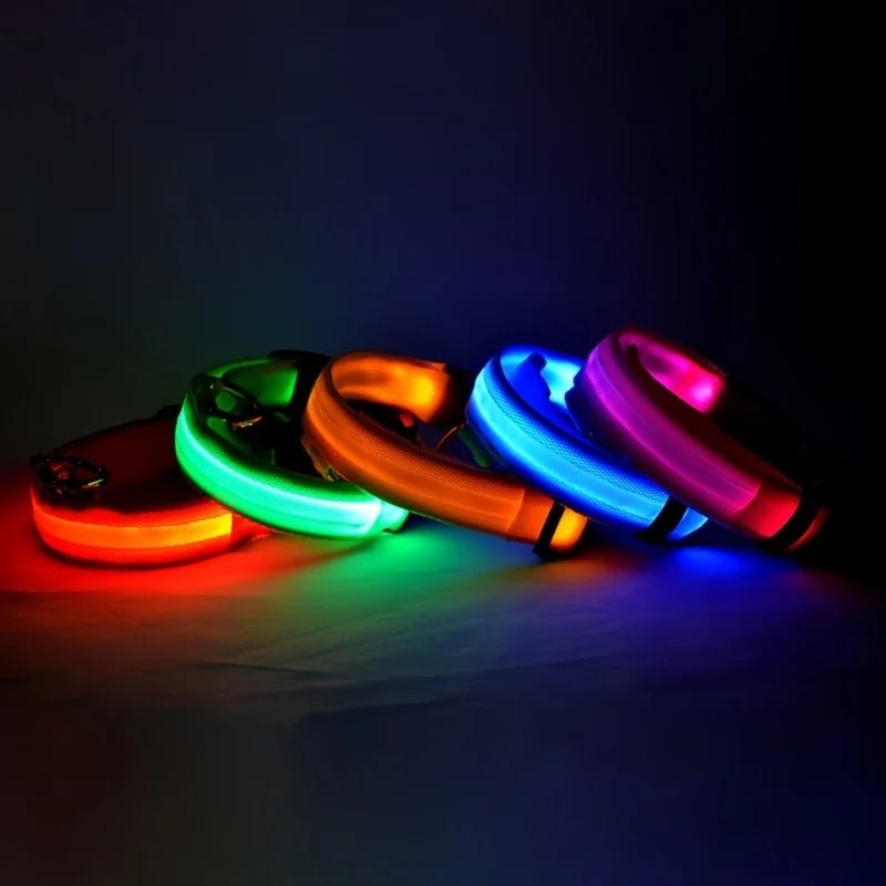 GlowSafe LED Collar