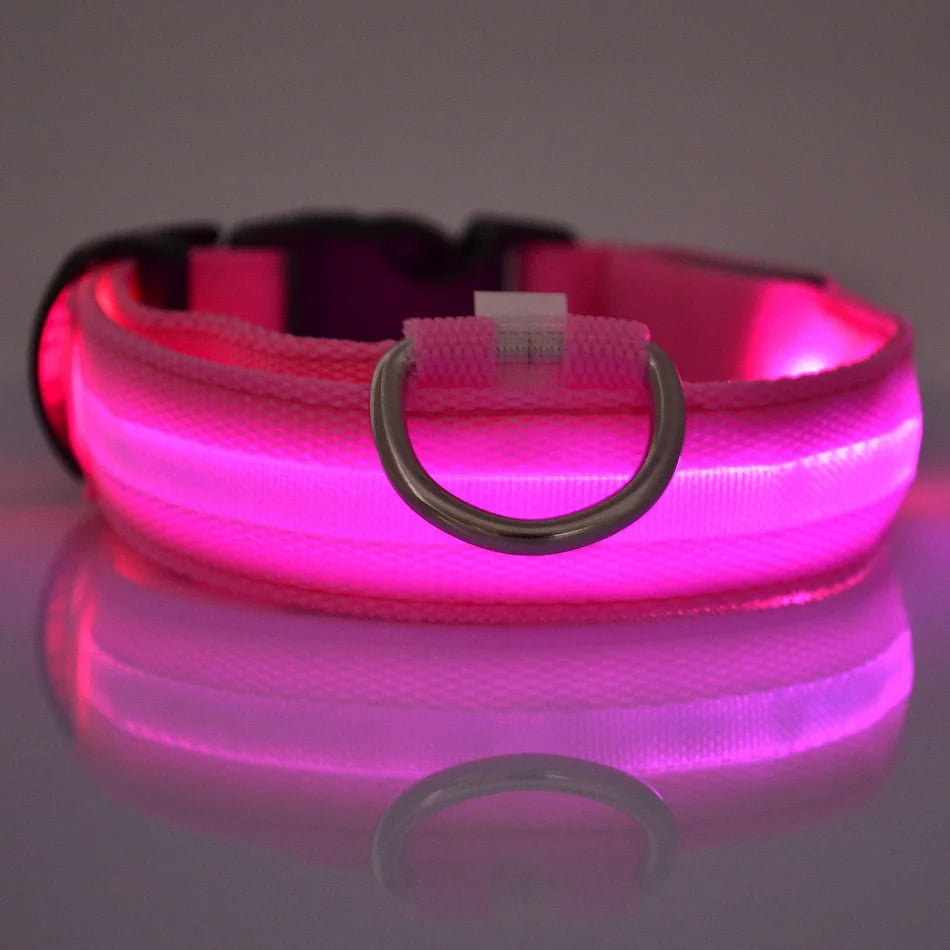 GlowSafe LED Collar