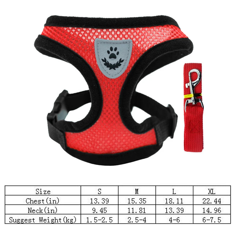 AirFlex Pet Harness Set
