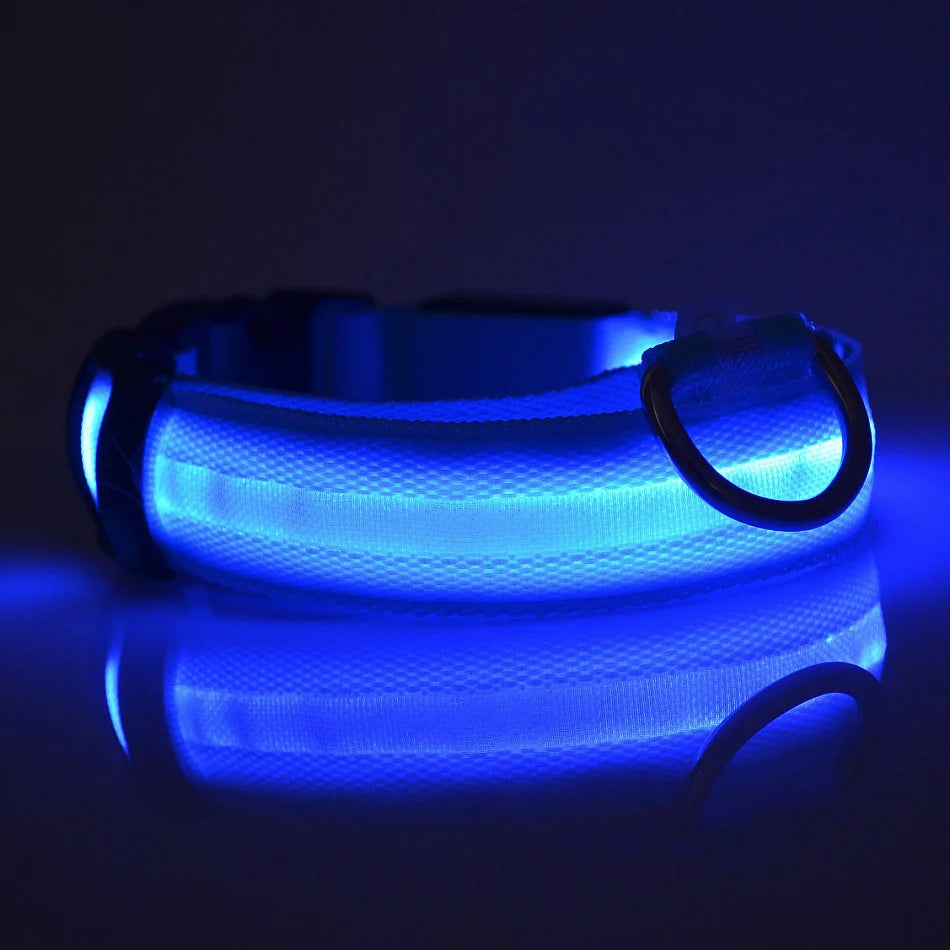 GlowSafe LED Collar