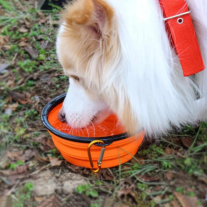 FoldPaws Travel Bowl