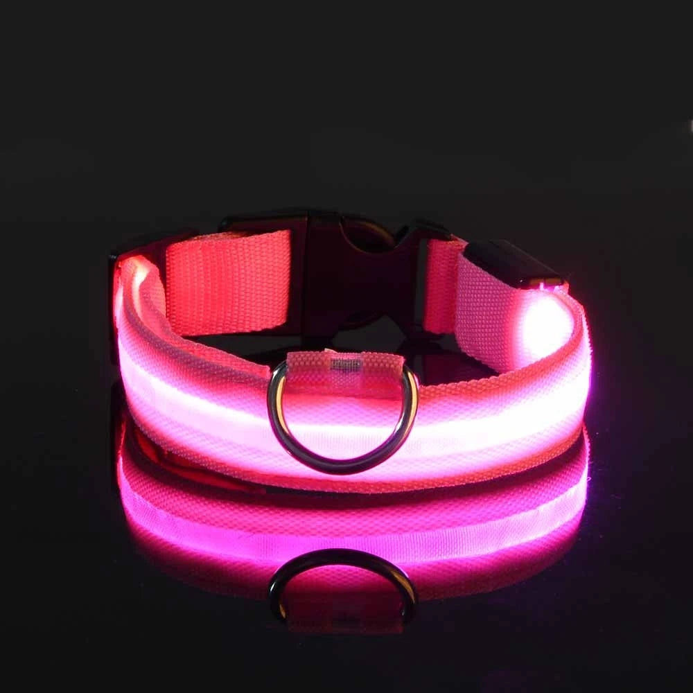 GlowSafe LED Collar