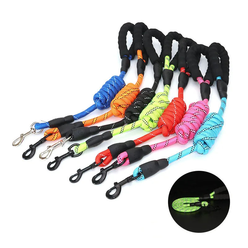 SafeWalk Dog Leash