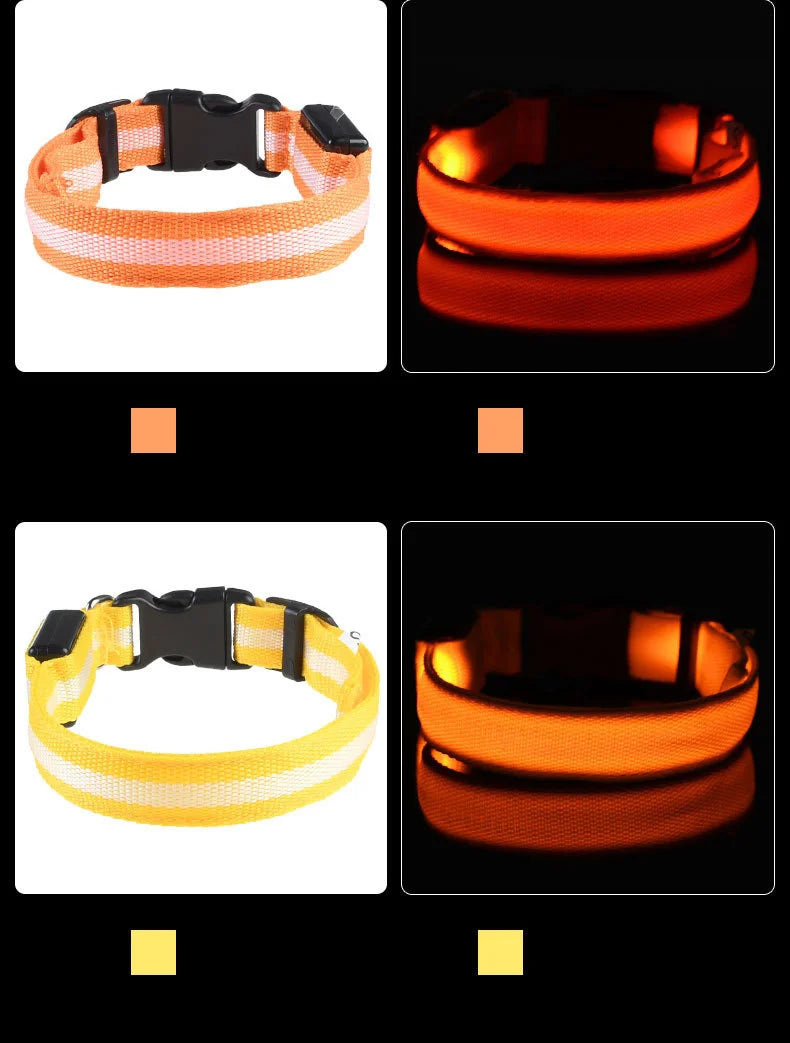 GlowSafe LED Collar