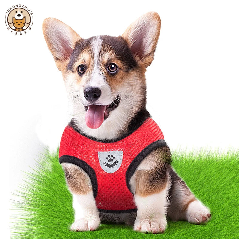 AirFlex Pet Harness Set