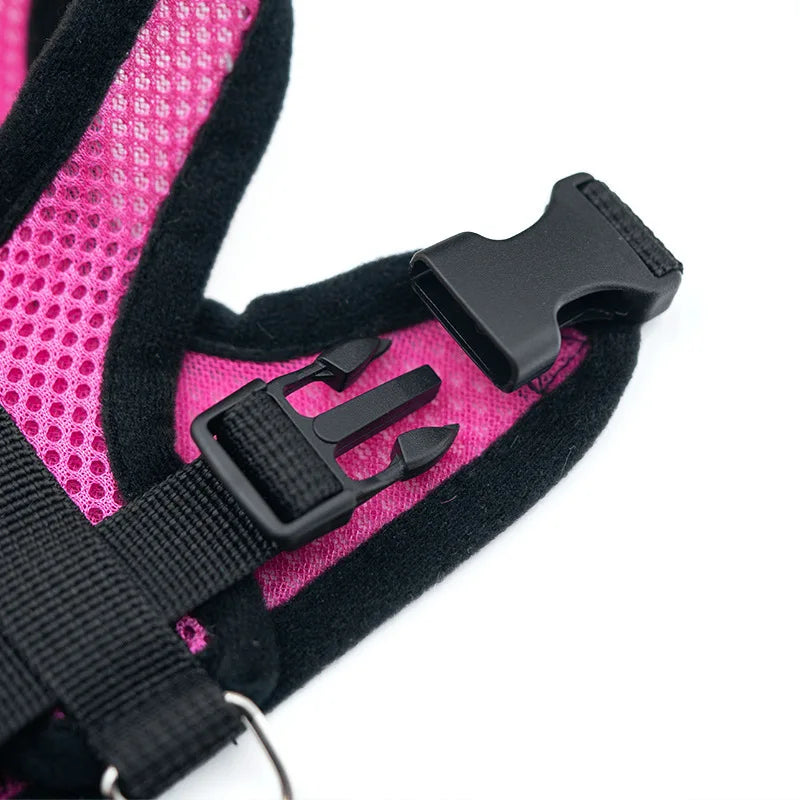 AirFlex Pet Harness Set
