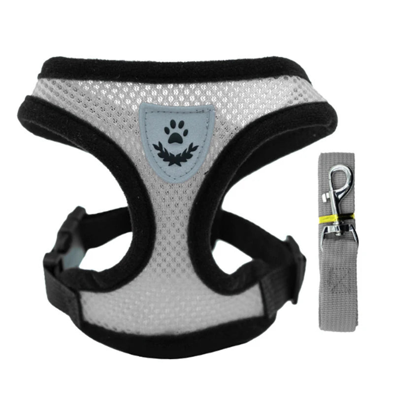 Ensemble harnais pour animaux de compagnie AirFlex