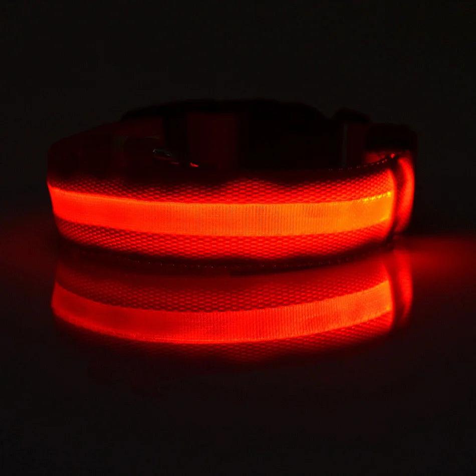 GlowSafe LED Collar