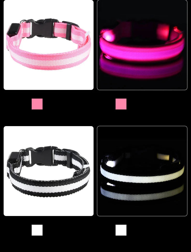 GlowSafe LED Collar