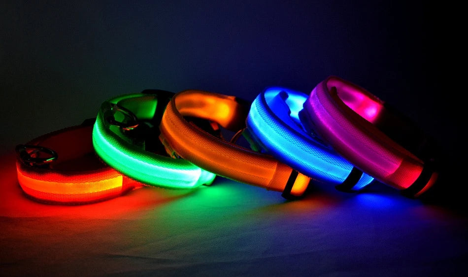 GlowSafe LED Collar