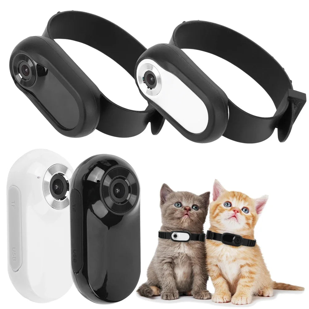 PetView 1080P Camera Collar