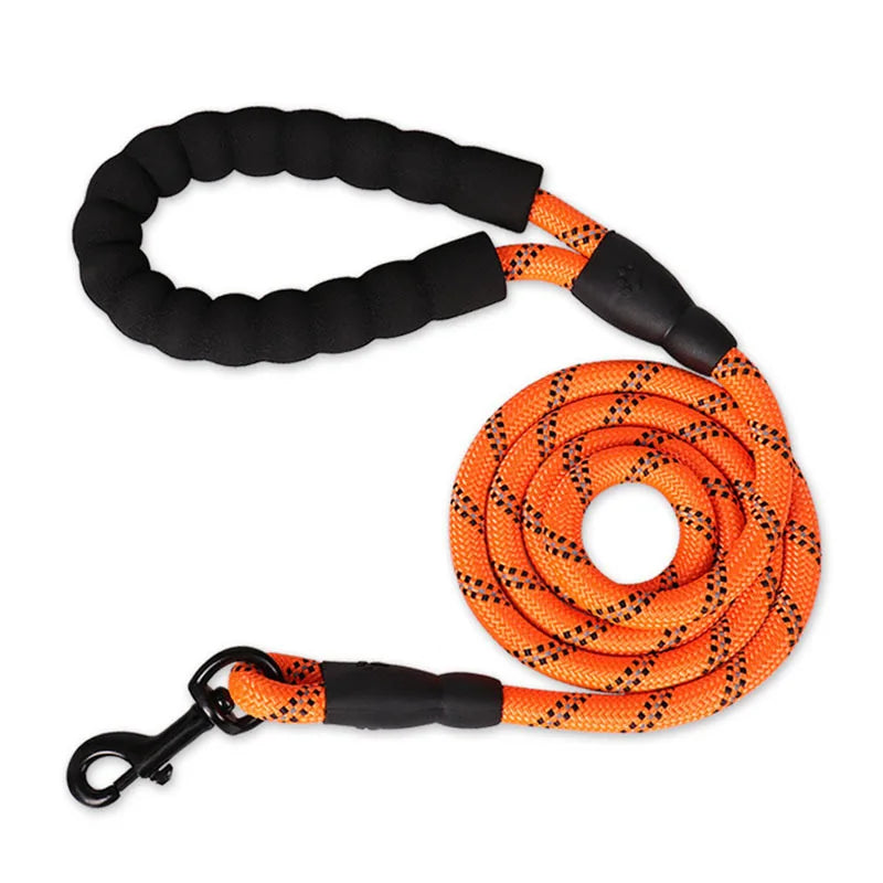 SafeWalk Dog Leash