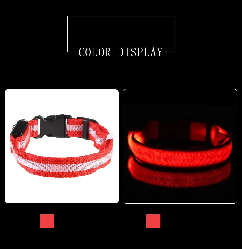 GlowSafe LED Collar