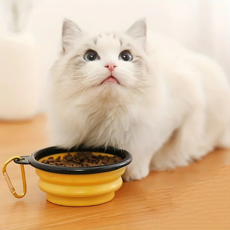 FoldPaws Travel Bowl